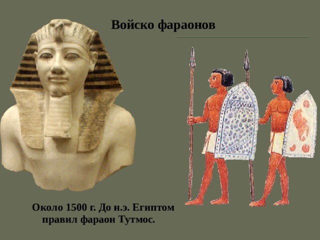 Войско фараонов Около 1500 г. До н.э. Египтом правил фараон Тутмос. 