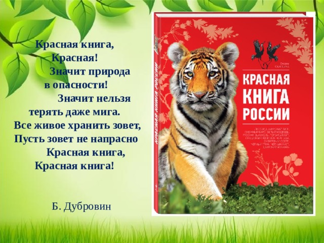 Проект красная книга для дошкольников