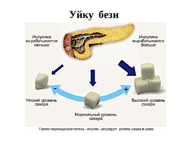 Уйку бези 
