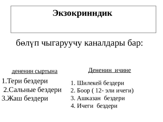 Экзокринндик бөлүп чыгаруучу каналдары бар: Дененин ичине дененин сыртына 1.Тери бездери  2.Сальные бездери 3.Жаш бездери 1. Шилекей бездери 2. Боор ( 12- эли ичеги) 3. Ашказан бездери 4. Ичеги бездери 