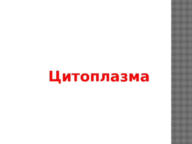 Цитоплазма 