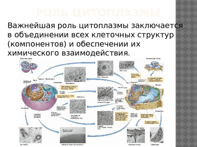 Структурные элементы дизайна их взаимосвязь