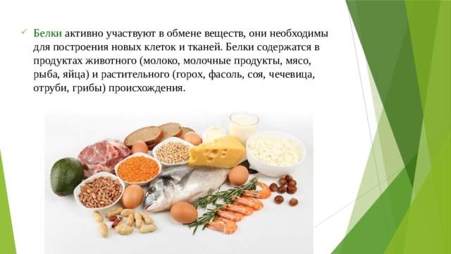 Продукты растительного и животного происхождения презентация