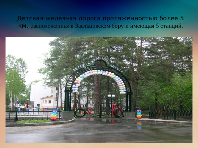 Детская железная дорога протяжённостью более 5 км , расположенная в Заельцовском бору и имеющая 5 станций.