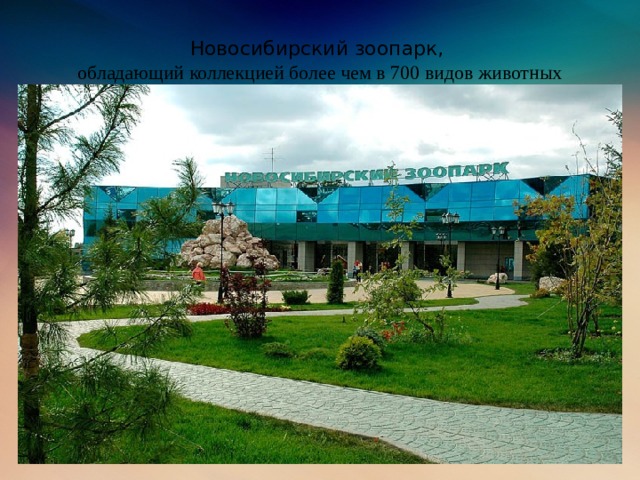 Новосибирский зоопарк,  обладающий коллекцией более чем в 700 видов животных