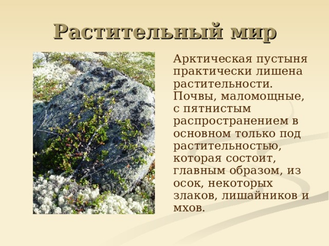 Арктическая пустыня практически лишена растительности. Почвы, маломощные, с пятнистым распространением в основном только под растительностью, которая состоит, главным образом, из осок, некоторых злаков, лишайников и мхов.
