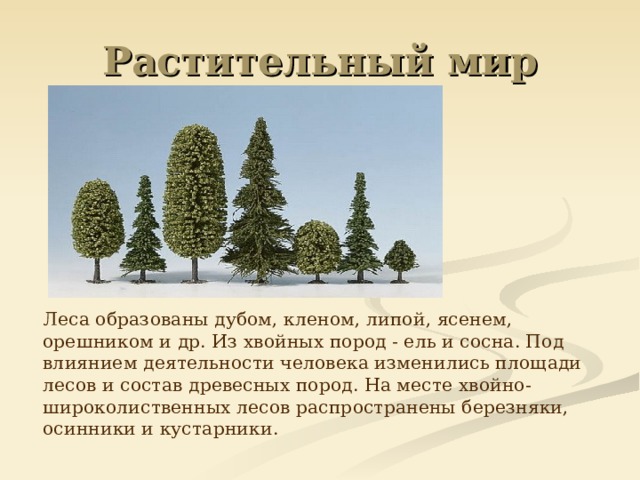 Леса образованы дубом, кленом, липой, ясенем, орешником и др. Из хвойных пород - ель и сосна. Под влиянием деятельности человека изменились площади лесов и состав древесных пород. На месте хвойно-широколиственных лесов распространены березняки, осинники и кустарники.