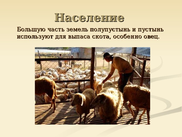 Большую часть земель полупустынь и пустынь используют для выпаса скота, особенно овец.