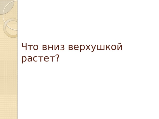 Что вниз верхушкой растет?