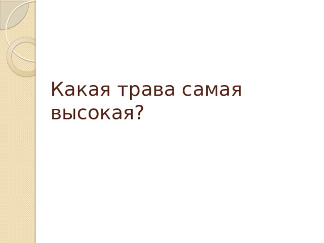 Какая трава самая высокая?