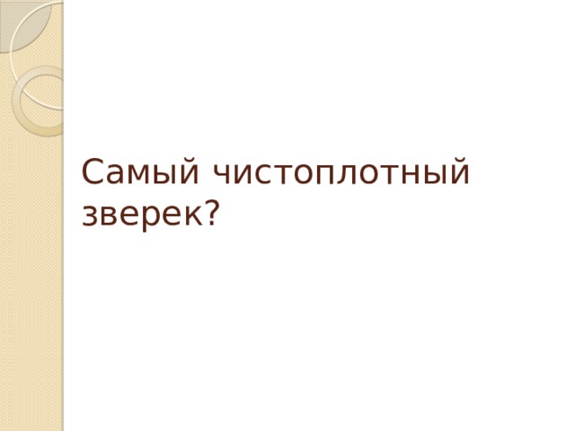 Самый чистоплотный зверек?