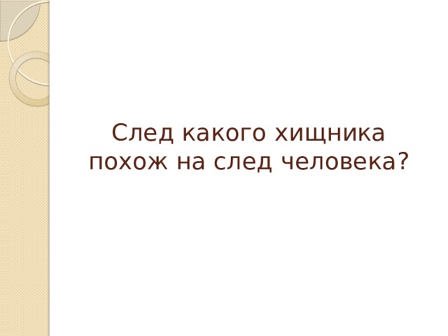 След какого хищника похож на след человека?