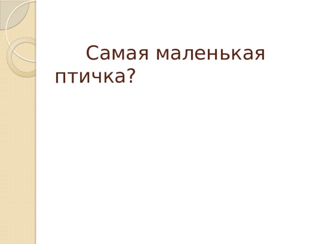 Самая маленькая птичка?