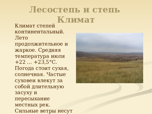 Степь краткое содержание. Климат степей и лесостепей в России. Лесостепи и степи климат. Лесостепь и степь стклимат. Климатические условия лесостепи и степи.