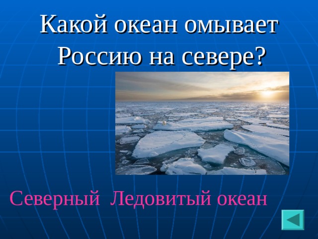 Какой океан омывает Россию на севере? Северный Ледовитый океан  