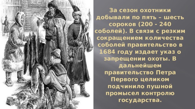 За сезон охотники добывали по пять – шесть сороков (200 - 240 соболей). В связи с резким сокращением количества соболей правительство в 1684 году издает указ о запрещении охоты. В дальнейшем правительство Петра Первого целиком подчинило пушной промысел контролю государства. 
