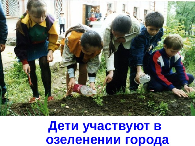  Дети участвуют в озеленении города  Дети участвуют в озеленении города  Дети участвуют в озеленении города  Дети участвуют в озеленении города  Дети участвуют в озеленении города 