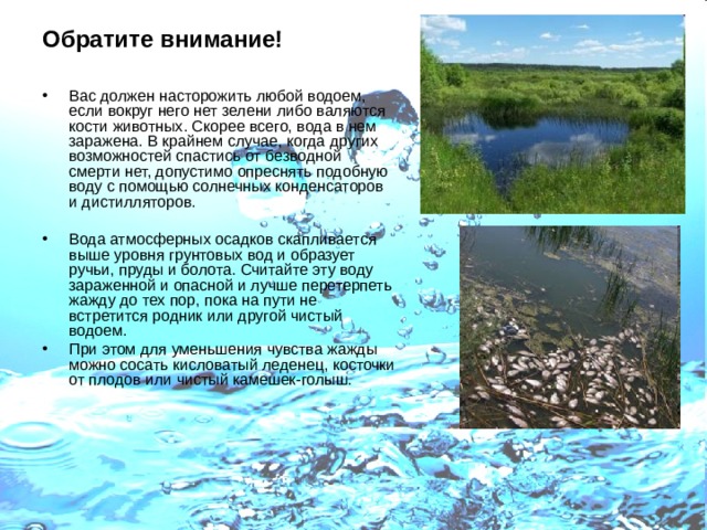 Обратите внимание! Вас должен насторожить любой водоем, если вокруг него нет зелени либо валяются кости животных. Скорее всего, вода в нем заражена. В крайнем случае, когда других возможностей спастись от безводной смерти нет, допустимо опреснять подобную воду с помощью солнечных конденсаторов и дистилляторов. Вода атмосферных осадков скапливается выше уровня грунтовых вод и образует ручьи, пруды и болота. Считайте эту воду зараженной и опасной и лучше перетерпеть жажду до тех пор, пока на пути не встретится родник или другой чистый водоем. При этом для уменьшения чувства жажды можно сосать кисловатый леденец, косточки от плодов или чистый камешек-голыш.    