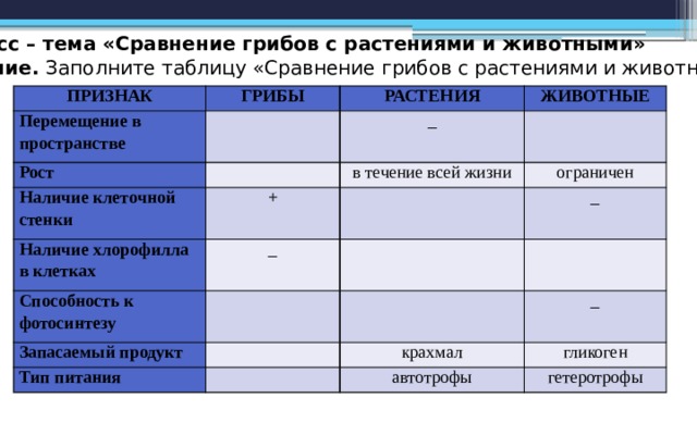 Сравнить грибы