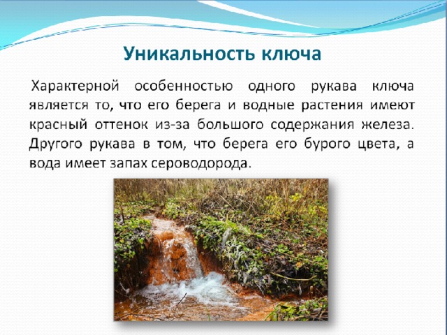 Прочитайте родник. Откуда течет вода из родника. Можно ли пить воду из родника. Откуда вода из родника поступает. Оттаивание воды из родника.