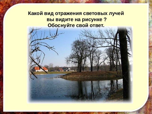 Какой вид отражения световых лучей  вы видите на рисунке ? Обоснуйте свой ответ. 