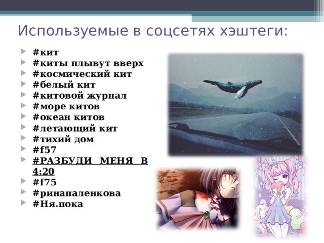 Используемые в соцсетях хэштеги: #кит #киты плывут вверх #космический кит #белый кит #китовой журнал #море китов #океан китов #летающий кит #тихий дом #f57 #РАЗБУДИ МЕНЯ В 4:20 #f75 #ринапаленкова #Ня.пока  