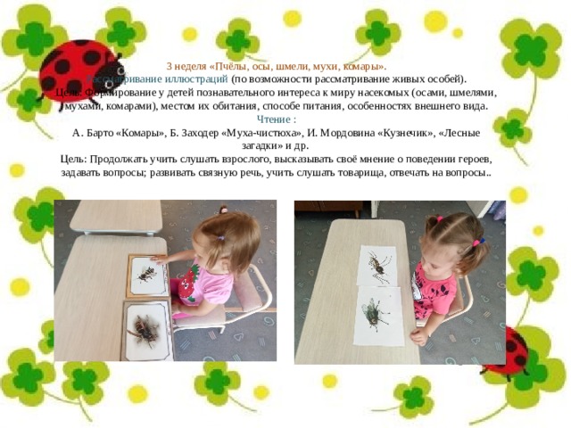 3 неделя «Пчёлы, осы, шмели, мухи, комары».  Рассматривание иллюстраций (по возможности рассматривание живых особей). Цель: Формирование у детей познавательного интереса к миру насекомых (осами, шмелями, мухами, комарами), местом их обитания, способе питания, особенностях внешнего вида. Чтение : А. Барто «Комары», Б. Заходер «Муха-чистюха», И. Мордовина «Кузнечик», «Лесные загадки» и др. Цель: Продолжать учить слушать взрослого, высказывать своё мнение о поведении героев, задавать вопросы; развивать связную речь, учить слушать товарища, отвечать на вопросы..   