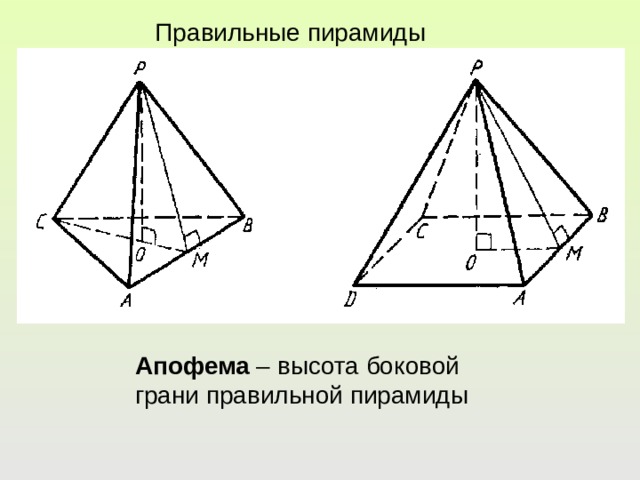 Правильные пирамиды Апофема – высота боковой грани правильной пирамиды 