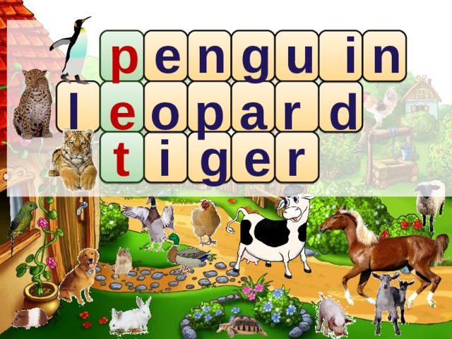 p  e n g u i n l  e o p a r d t  i g e r 
