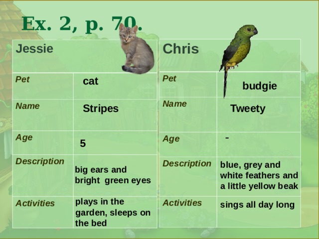 .  Ex . 2, p . 70. Chris Pet  Name  Age  Description  Activities  Jessie  Pet  Name  Age  Description  Activities  cat budgie Stripes Tweety - 5 blue, grey and white feathers and a little yellow beak big ears and bright green eyes plays in the garden, sleeps on the bed sings all day long 