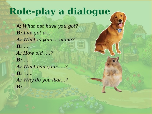 .  Role-play a dialogue A:  What pet have you got? B: I’ve got a … A: What is your… name? B: …. A: How old ….? B: … A: What can your…..? B: ….. A: Why do you like…? B: … 