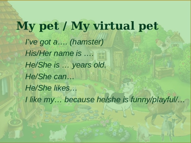 .  My pet / My virtual pet I’ve got a…. (hamster) His/Her name is …. He/She is … years old. He/She can… He/She likes… I like my… because he/she is funny/playful/… 