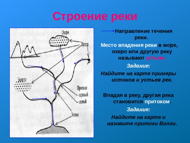 Каково направление течения. Направление течения рек. Направление течения реки Волга. Строение реки. Направление течения рек на карте.