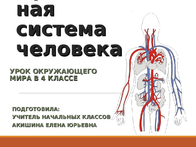 Кровеносная система 3 класс планета знаний презентация