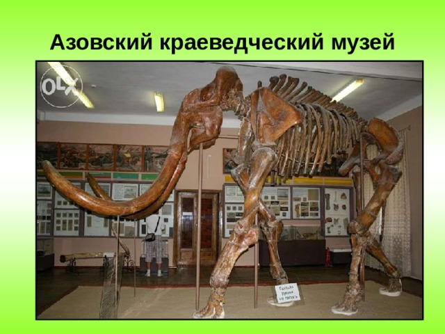  Азовский краеведческий музей 