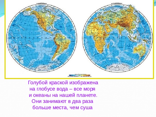 Голубой краской изображена на глобусе вода – все моря и океаны на нашей планете. Они занимают в два раза больше места, чем суша  