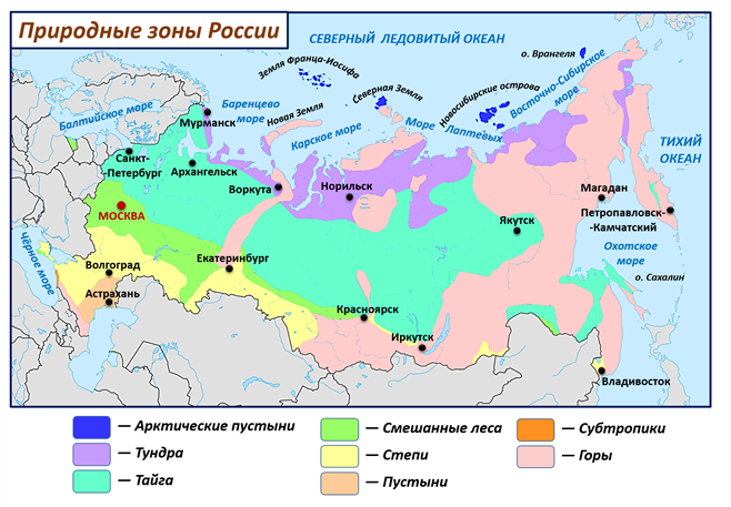 Рисунок зона тайги