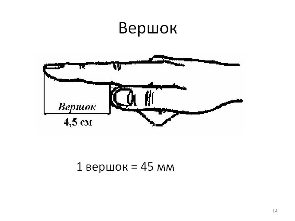 Дюйм картинка для детей