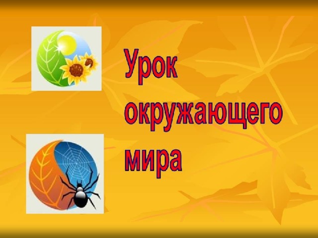 Картинка урок окружающего мира