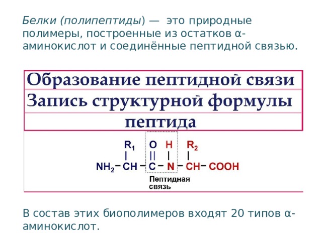 Природным полимером является белок. Белки природные полимеры. Белки это природные полимеры состоящие из. Белки как природные полимеры. Природные или натуральные полимеры как получаются.