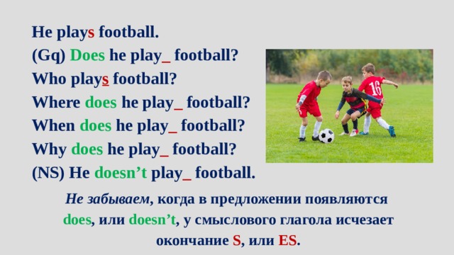 He play s football. (Gq) Does he play _ football? Who play s football? Where does he play _ football? When does he play _ football? Why does he play _ football? (NS) He doesn’t play _ football.   Не забываем , когда в предложении появляются does , или doesn’t , у смыслового глагола исчезает окончание S , или ES . 