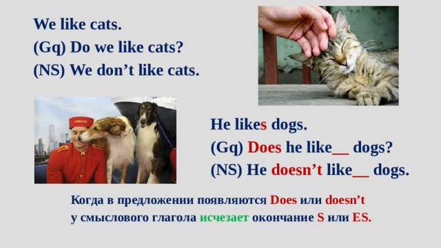 We like cats. (Gq) Do we like cats? (NS) We don’t like cats. He like s dogs. (Gq) Does he like __ dogs? (NS) He doesn’t like __ dogs. Когда в предложении появляются Does или doesn’t у смыслового глагола исчезает окончание S или ES.   