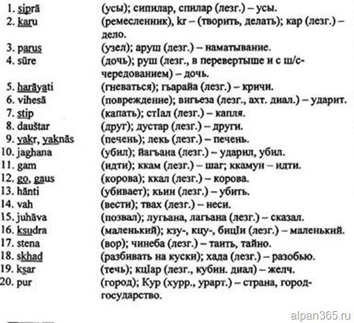 Аварский мат с переводом. Матерные слова на лезгинском языке. Лесгинистый язык слова. Лезгинский язык слова. Лезгинский язык переводчик.