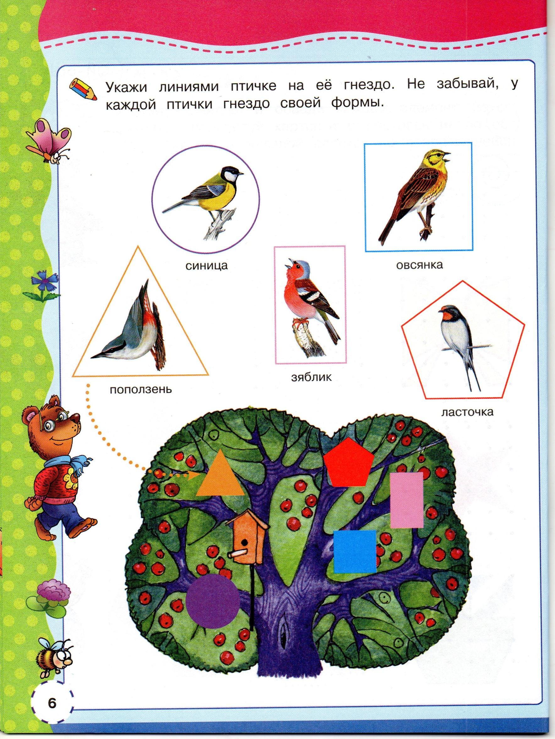 Тематическая неделя птицы. Развивающие игры по природоведению 1 класс.. Бросовый материал для занятий с дошкольниками.
