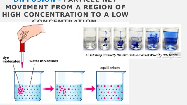 Heat transfer. brownian motion. diffusion