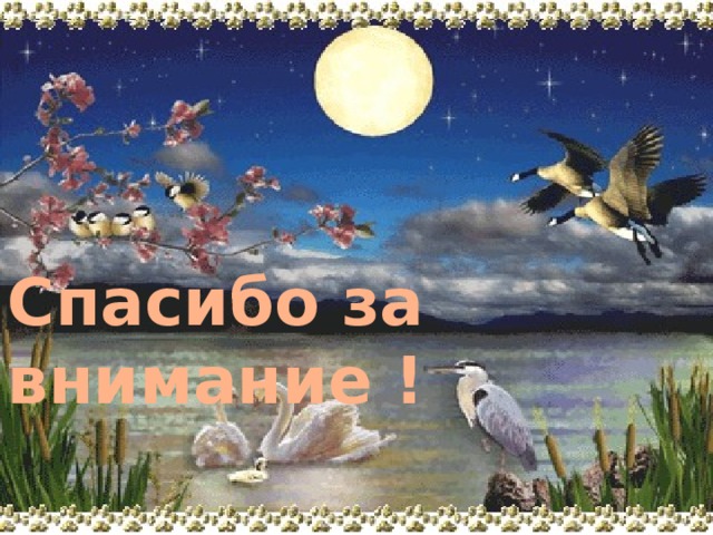 Спасибо за внимание ! 