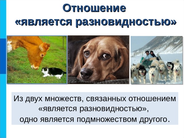 Отношение  «является разновидностью» Из двух множеств, связанных отношением «является разновидностью»,  одно является подмножеством другого .