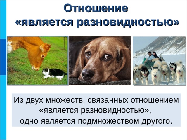 Отношение  «является разновидностью» Из двух множеств, связанных отношением «является разновидностью»,  одно является подмножеством другого .