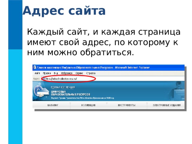Адрес сайта Каждый сайт, и каждая страница имеют свой адрес, по которому к ним можно обратиться.