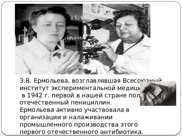 Микробиолог з в ермольева в 1942 г получила из отечественного сырья первые в ссср образцы